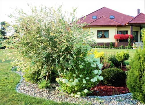 Jak zaprojektować ogród, który przykuwa uwagę sąsiadów?